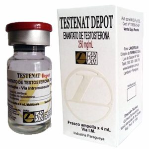 Enantato de Testosterona ( Testenat Depot ) – 250mg / 4ml – Landerlan